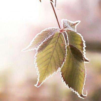 AG百家家乐app手机app下载